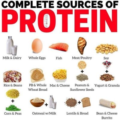 Does Chicken Have More Protein Than Carrots? And Why Do Carrots Never Join the Gym?