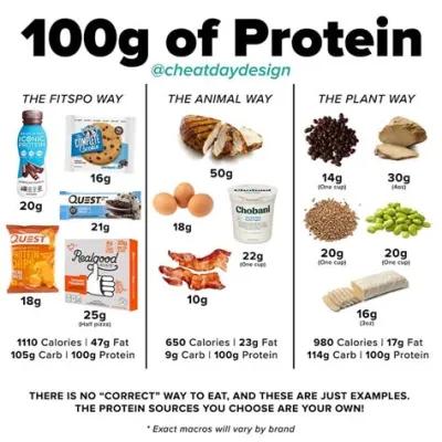 How Many Grams Protein in Hamburger: A Culinary Conundrum and the Symphony of Flavors