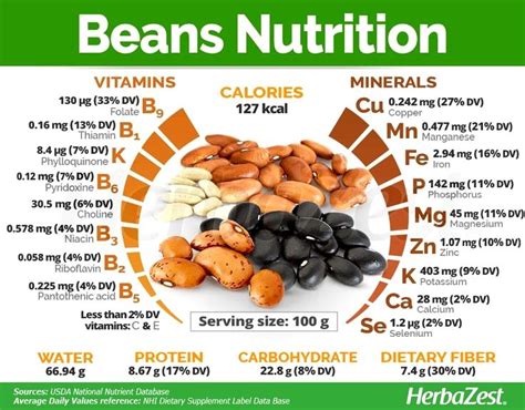 How Much Protein in Red Beans: A Culinary Journey Through Nutrition and Imagination