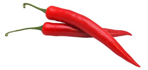 Is Chilli High in Protein? And Why Does It Make You Dream of Spicy Unicorns?