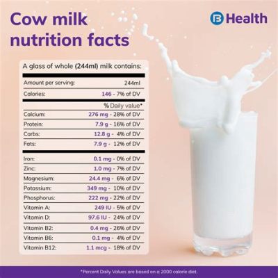 Is Milk Protein Isolate Dairy: A Journey Through the Milky Way of Nutritional Paradoxes