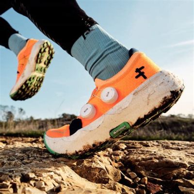 What is a Trail Running Shoe: A Journey Through the Wild and the Weird