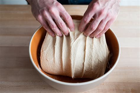 What to Do After Stretch and Folds: Exploring the Unpredictable Path of Dough and Beyond